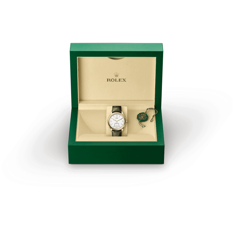 Rolex M52508-0006 Presented with Box - Woo Hing Brothers